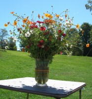 image of vase with brightly colored flowers