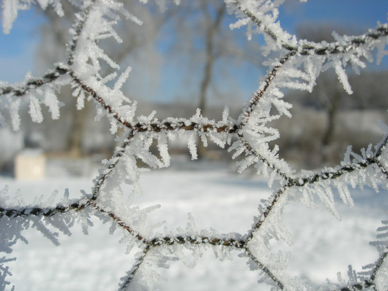 frost_crystals.jpg
