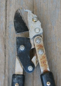 Image of pruning loppers with broken blade