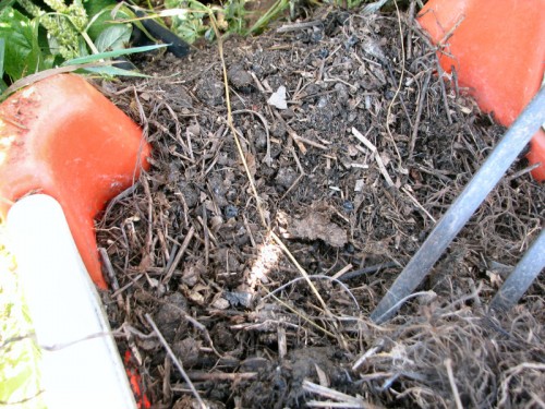 Image of almost finished compost