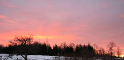 Image of winter sun rising in the east