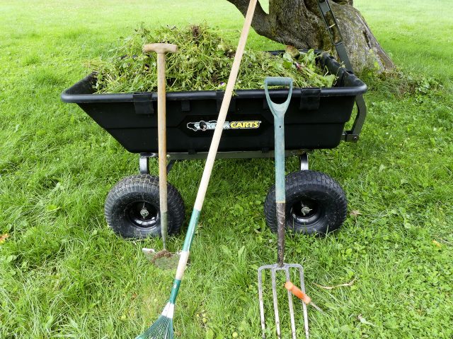 10 cu ft weeds in a gorilla cart