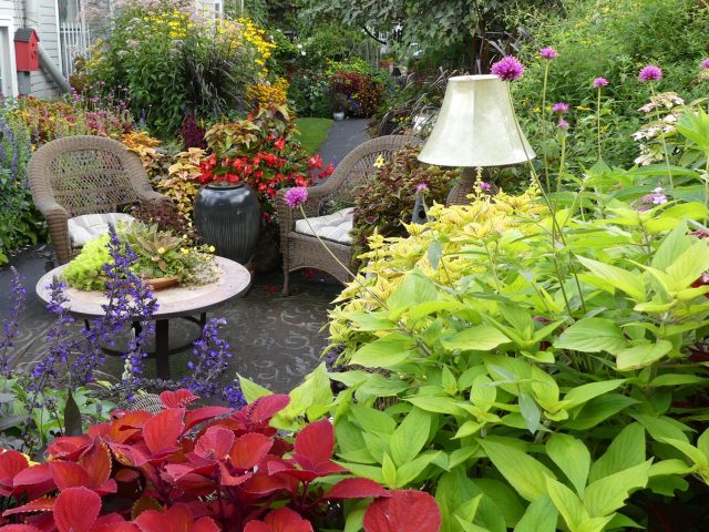 High contrast color garden