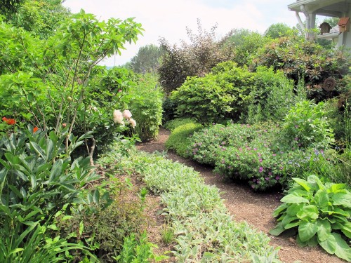Garden path of cold climate garden