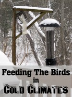 snowy bird feeder
