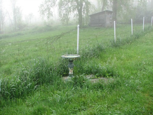 In 2006, the birdbath seemed stuck in the middle of nowhere