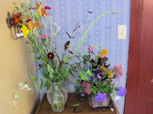 I sorted these backyard blooms by size.