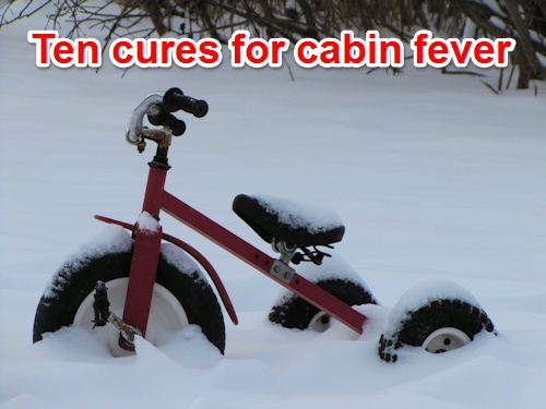 Ten cures for cabin fever