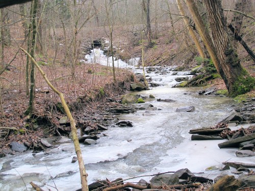 long view of creek