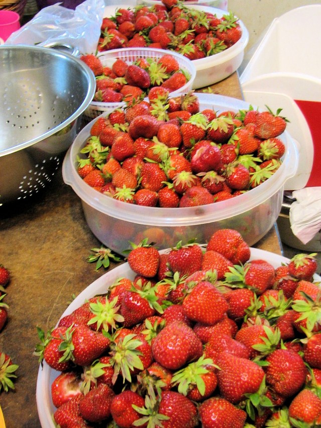 lots of strawberries