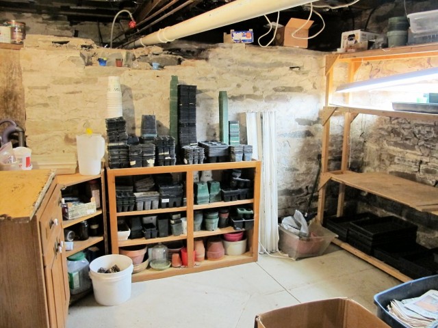 seed starting area in the basement