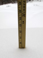 yardstick measuring snowfall
