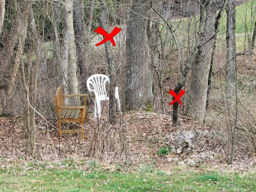 A bench and a chair in the woods - waterfall viewing area