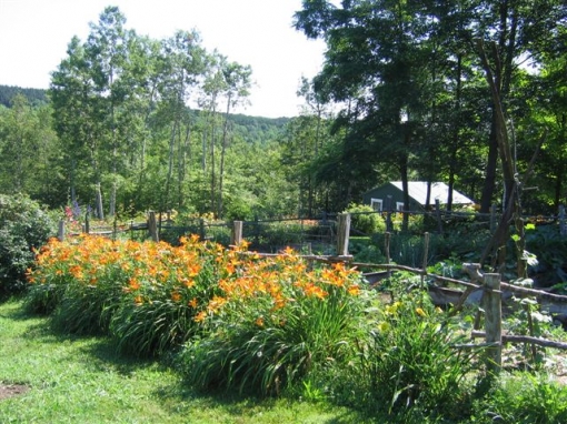 View of Hawthorne Hill Daylily Farm in Cooperstown, NY. Photo Courtesy Richard deRosa