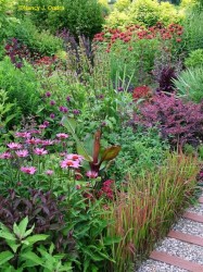 Image of garden with diverse foliage textures