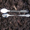 Image of two baby food spoons in potting soil