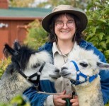 Image of woman with hat holding the reins on two alpacas