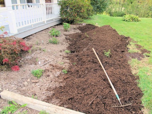 Well-rotted manure has been added to this garden bed.