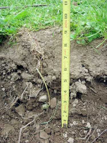 measure to ensure the proper depth of excavation