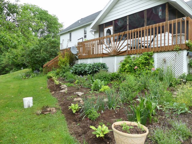 flower bed early June