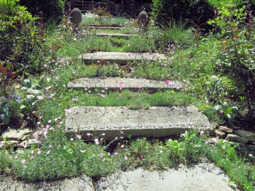 I love the dianthus and other small plants growing around these concrete paver steps. Photo reprinted with permission.