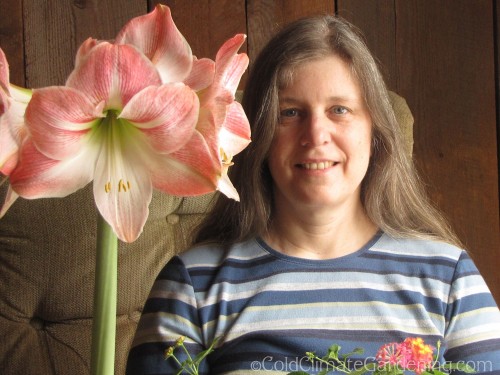 large flowered amaryllis and middle aged woman