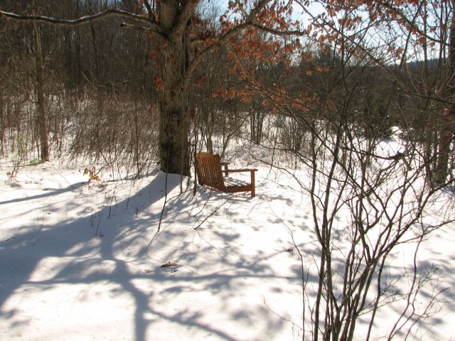 bench in the snowy woods