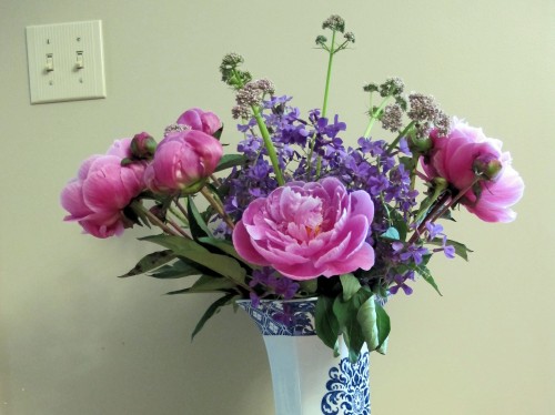 bouquet of peonies, dame's rocket, and valerian