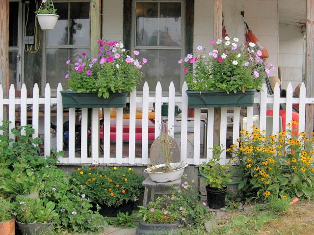 It doesn't take much money to make a cheerful summer garden.
