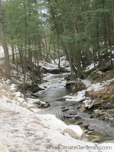 creek between winter and spring
