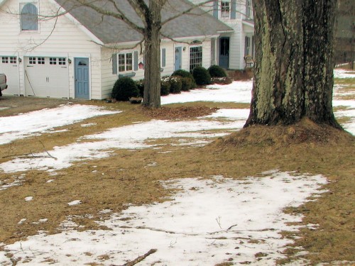 Yard with snow and bare patches