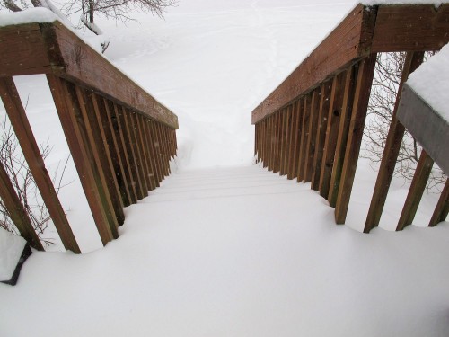 Down the snowy steps to fetch the bird feeder