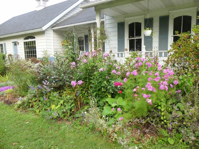 Kathy Purdy's Front Walk North bed in September