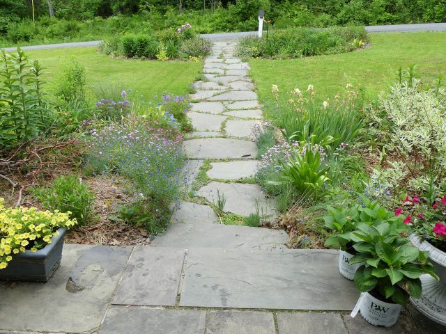 Front garden as seen from the kitchen