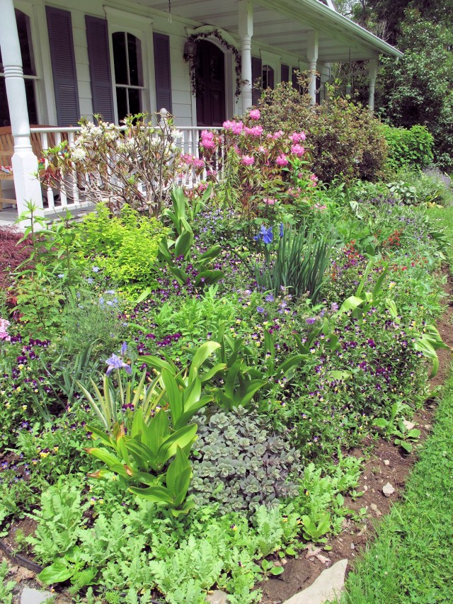 June flower bed in a cold climate