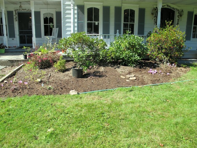 Newly created garden bed