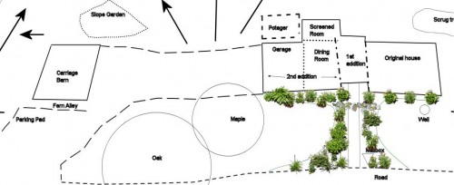 This was my original idea for garden beds lining the front walk. Drawing is not to scale, and don't expect the plants to be realistic. Click to enlarge.