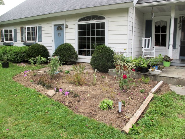 Newly created flower bed