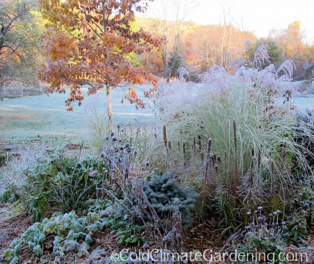 frosted slope garden