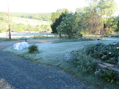 front lawn after hard freeze