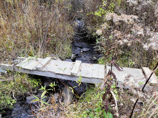 rudimentary foot bridge across the creek