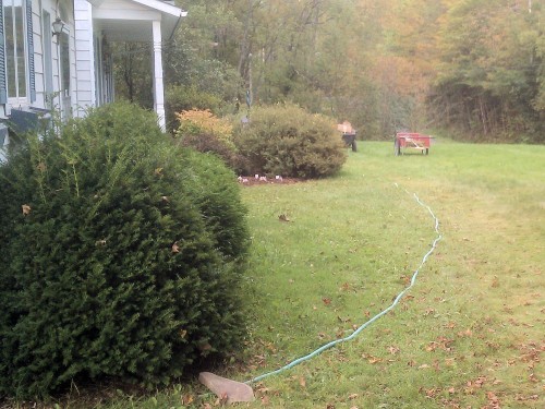 Use a garden hose to mark the edge of your garden path.