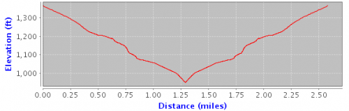 Elevation map of walking route