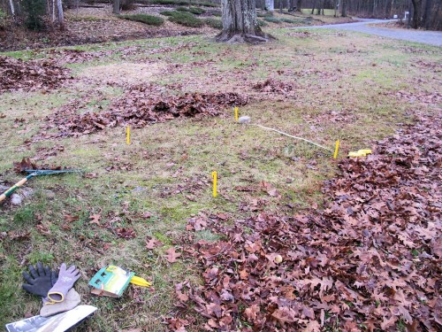 I put four tent stakes in the ground, outlining my best guess of 5ft by 5ft. Then I measured. I overestimated.