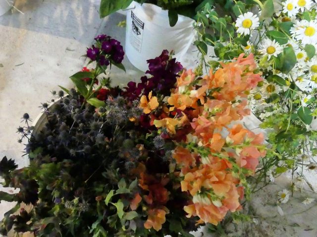 snapdragons and other wedding flowers