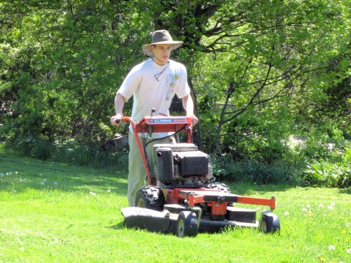 DR Brush Mower with Lawn Deck