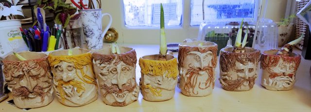 narcissus in mugs