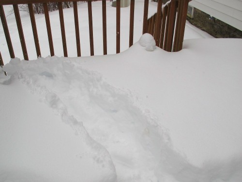 snowy path on deck