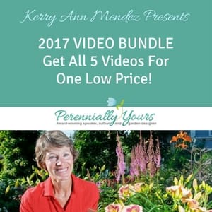 Click here to purchase the webinar bundle Click here to purchase the webinar bundle