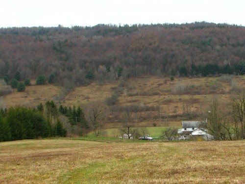 early spring hillside